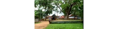 77. திருவித்துவக்கோடு 